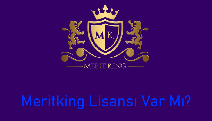 meritking lisans